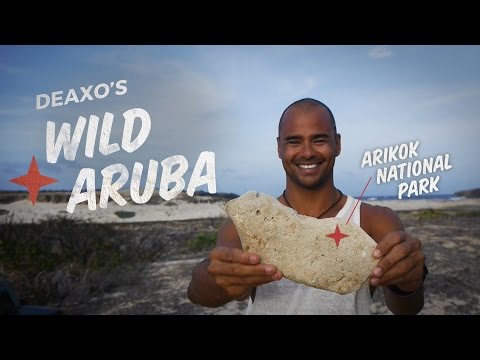 Aruba Local Tips: Secret Swimming Holes, Authentic Food and More!