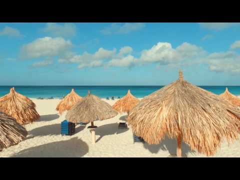 Aruba Beach Video | You Will Fall in Love with Aruba after Seeing This Video