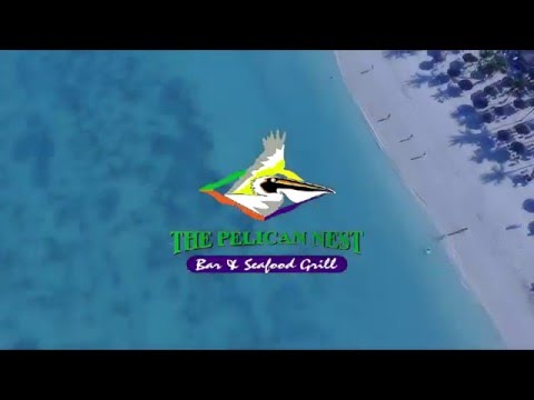 Pelican Pier Beach Bar ARUBA