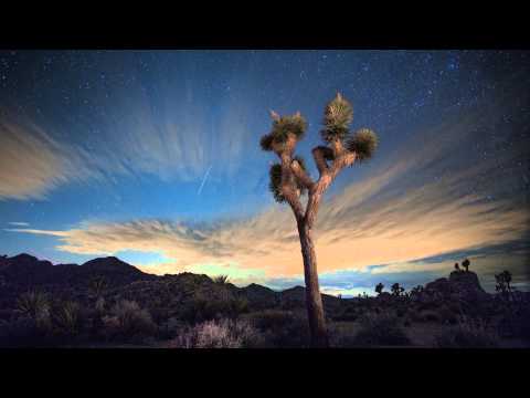 Joshua Tree Sunset to Moon Rise to Sunrise Time-Lapse 4K HD