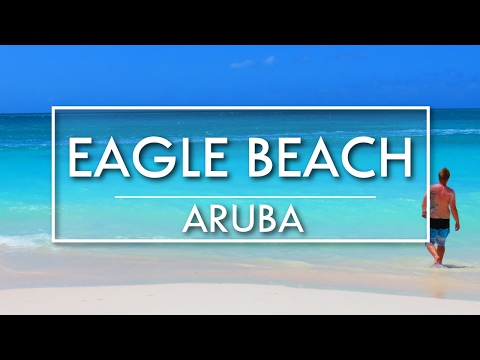 Eagle Beach on Aruba | The best beach on one happy island