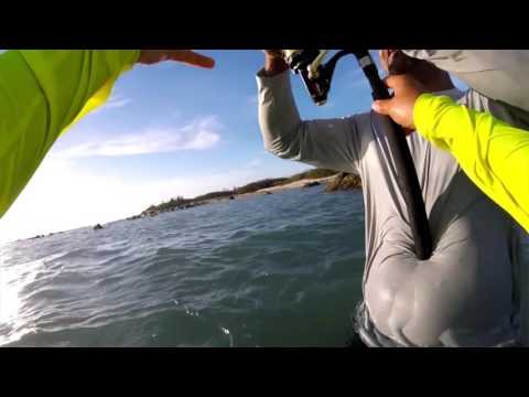 Fishing Noord Arashi Beach Aruba