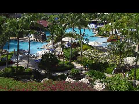 Hyatt Aruba H 264