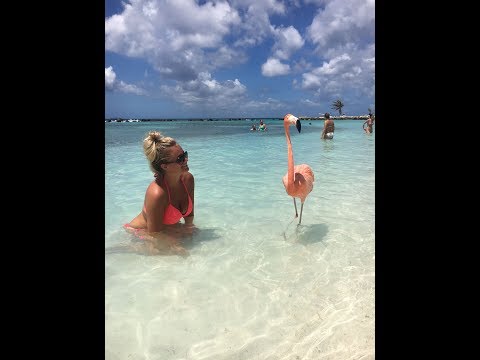 Holiday Aruba Palm Beach 2016 (GoPro Hero 4)