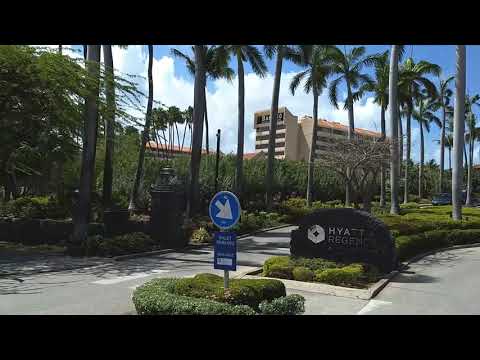 Aruba – Hotels and Casinos – Kukoo Kunuku Island Tour