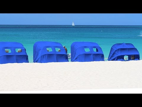 Eagle Beach – Aruba Trip Advisor