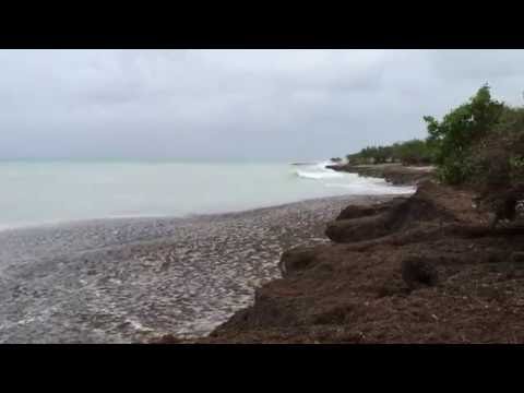 Effects of hurricane Matthew on Eagle Beach Aruba