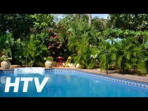 Wonders Boutique Hotel en Oranjestad, Aruba