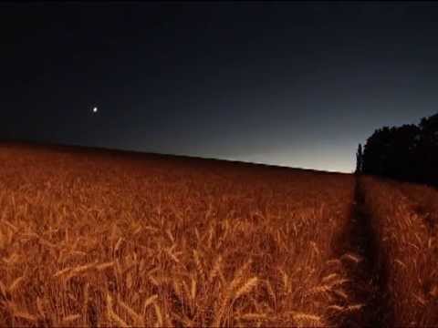 Time Lapse – Sunset on a Wheat Field with the Planet Venus in the Sky