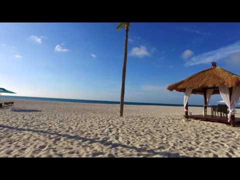 The Best Hotel in Aruba Bucuti & Tara Beach Resort