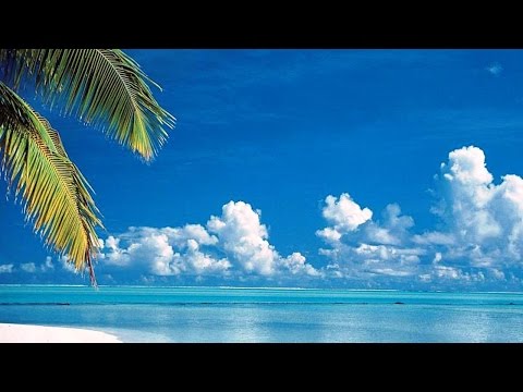 Top10 Recommended Hotels in Noord, Aruba