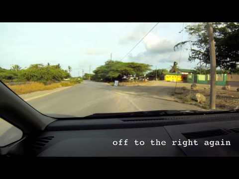 Aruba’s Flying Fishbone