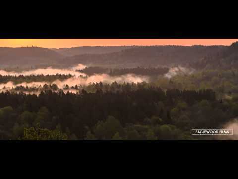 Sunrise Gauja National Park (timelapse)