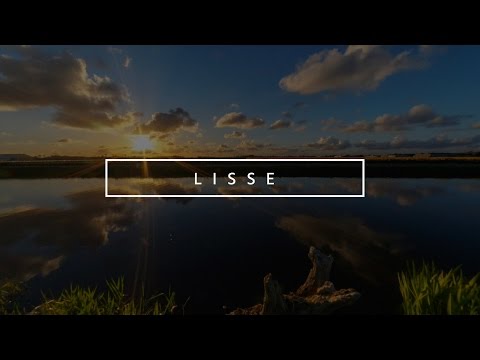 [TIMELAPSE] Sunset between the flower fields