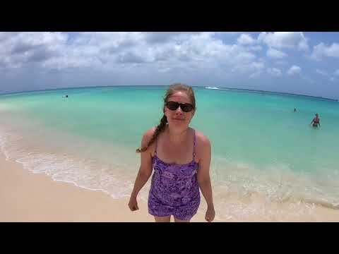 Eagle Beach, Aruba HD – Pristine Caribbean Beach with soft white sands