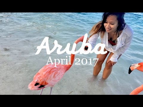 Adventures In The Happiest Place On Earth (Aruba 2017)