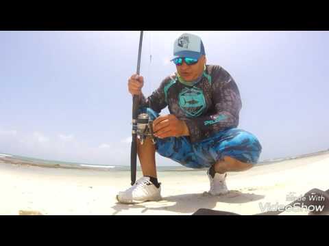 ARASHI BEACH ARUBA (BARACUDA)