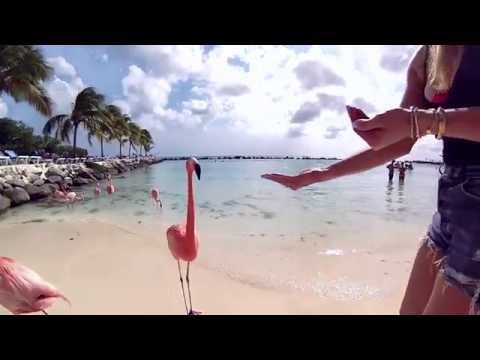 Flamingo Beach Aruba