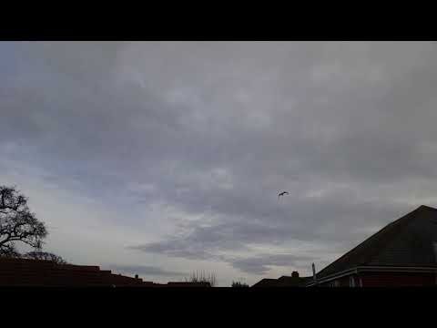 9th December 2017 time lapse sky. Sunrise. Chemtrails chem full sky