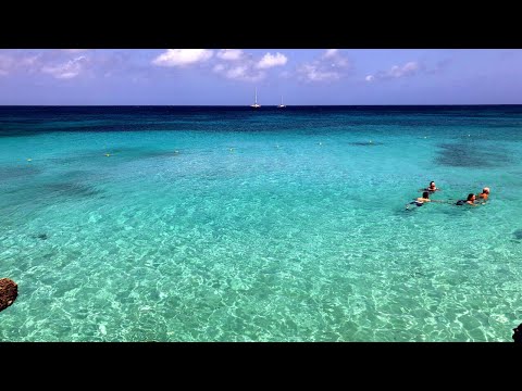 Best Beaches on Aruba for Snorkeling, Sailing and Swimming
