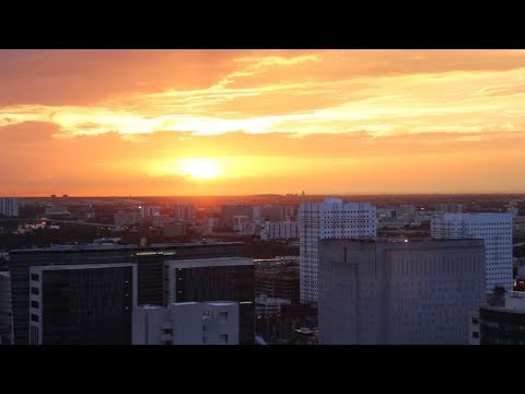 Miami, FL Time Lapse Compilation at Sunset, Sunrise, Night, Evening
