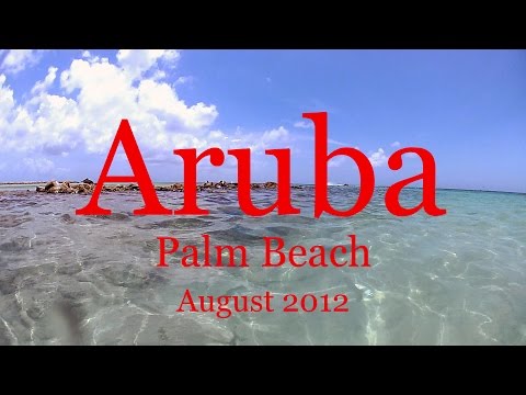 Snorkeling in Aruba off Palm Beach