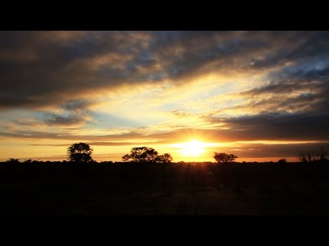Amazing Kruger Park Sunrise Time Lapse – Royalty Free HD Stock Video Footage
