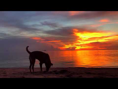 Time Lapse Sunsets Koh Phangan Thailand
