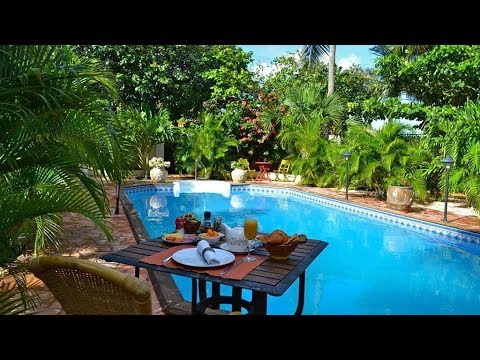 Wonders Boutique Hotel 4k Aruba