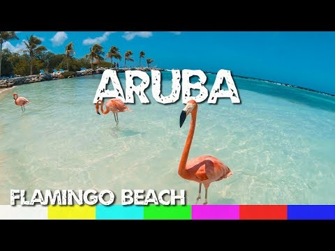 Aruba: Flamingo Beach – Renaissance Island