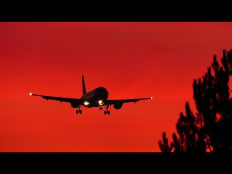 SUNRISE Planespotting at Berlin Tegel Airport + Timelapse: 787, 767, A320, 737!