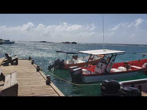 4k aruba – zeerovers restaurant