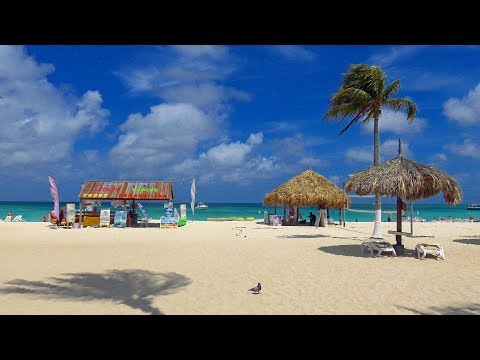 Aruba Palm Beach 4K