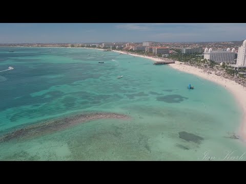 Aruba Palm Beach [4K]