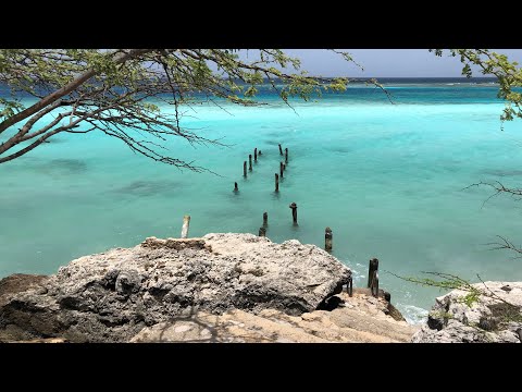 Mangel Halto – Aruba’s Best Hidden Beach