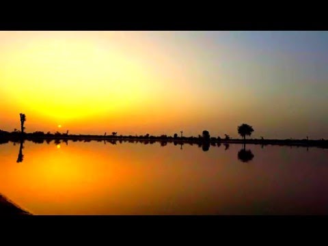 Al Qudra – Sun Rise Timelapse