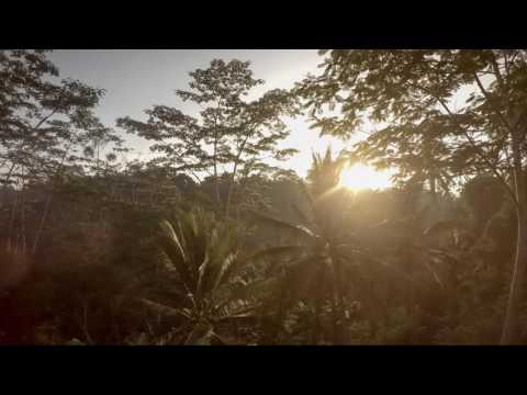 Ubud – Bali. Jungle Sunrise at the Tejaprana Resort (Time Lapse)