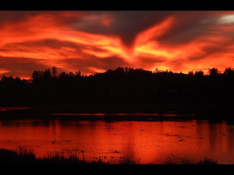 Sunset Timelapse January 30, 2019